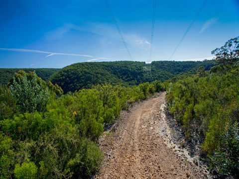 Bargo State Conservation Area - Northern Rivers Accommodation 1