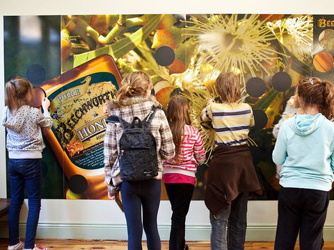 Beechworth Honey Shop - Northern Rivers Accommodation 2