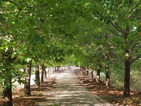 Beechworth To Everton Station 16km - Northern Rivers Accommodation 1