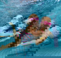 Blacktown Aquatic Centre - Northern Rivers Accommodation