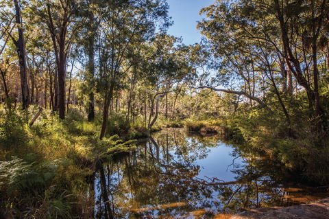 Blackdown Tableland National Park - Northern Rivers Accommodation 2
