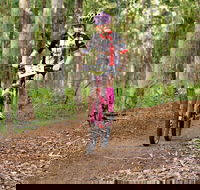 Bom Bom State Forest Mountain Bike Trails - Northern Rivers Accommodation