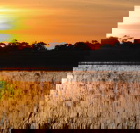 Bool Lagoon Game Reserve and Hacks Lagoon Conservation Park - Northern Rivers Accommodation