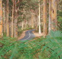 Boranup Karri Forest - Northern Rivers Accommodation