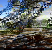 Bowen Mountain Park - Northern Rivers Accommodation