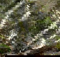Buddong Falls Walking Track - Northern Rivers Accommodation