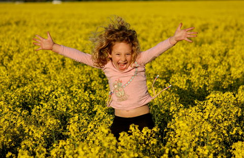Canola Trail - Northern Rivers Accommodation 0