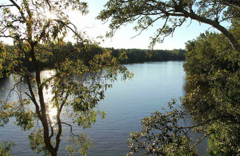 Cattai National Park - Northern Rivers Accommodation 0