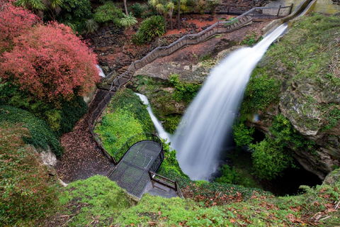 Cave Garden - Northern Rivers Accommodation 0