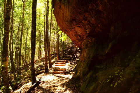 Cave Creek Walking Track - Northern Rivers Accommodation 1
