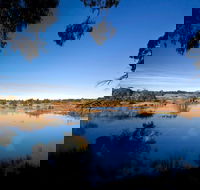 Cecil Hoskins Nature Reserve - Northern Rivers Accommodation