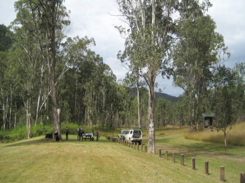 Chaelundi National Park - Northern Rivers Accommodation 0