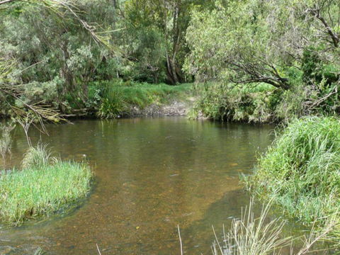 Chaelundi National Park - Northern Rivers Accommodation 2