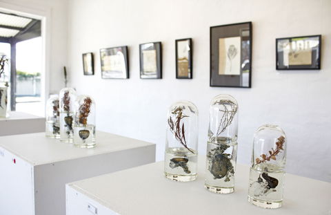 Corner Store Gallery - Northern Rivers Accommodation 2