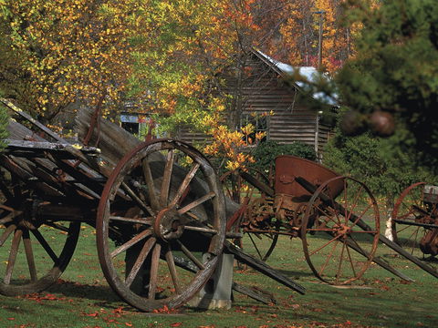Derwent Valley And Central Highlands - Northern Rivers Accommodation 2