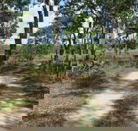 Djukbinj National Park - Northern Rivers Accommodation
