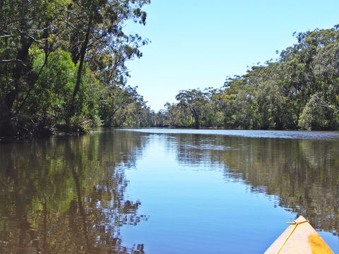 Esk River - Northern Rivers Accommodation 0