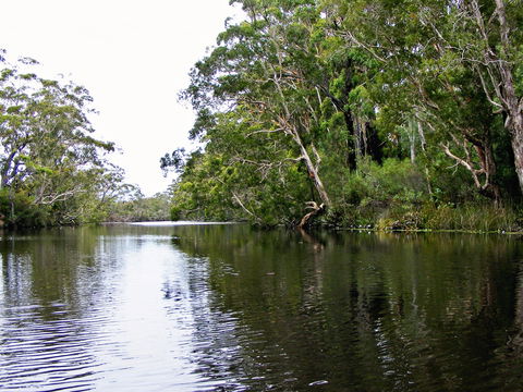 Esk River - Northern Rivers Accommodation 2