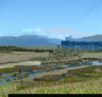 Eubenangee Swamp National Park - Northern Rivers Accommodation