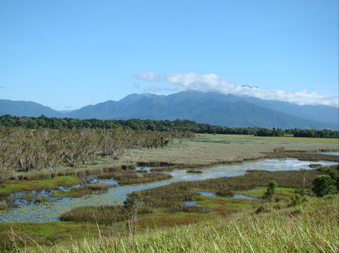 Eubenangee Swamp National Park - Northern Rivers Accommodation 0