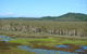 Eubenangee Swamp National Park - thumb 1