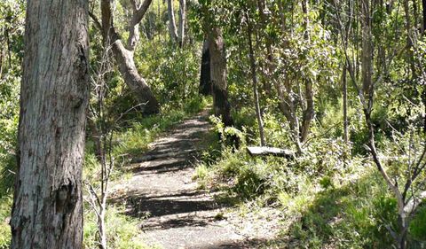 Euglah Rock Walking Track - Northern Rivers Accommodation 0