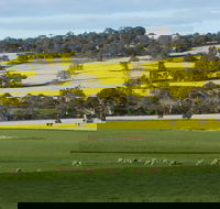 Fini Olives - Northern Rivers Accommodation