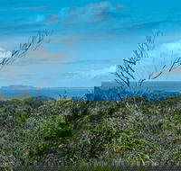 Forest Walking Track Crowdy Bay National Park - Northern Rivers Accommodation