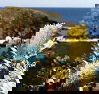 Green Island Walking Track - Northern Rivers Accommodation