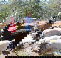 Haigslea EWE Nique Hobby Farm - Northern Rivers Accommodation