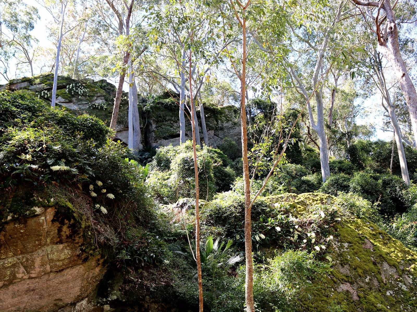  Northern Rivers Accommodation
