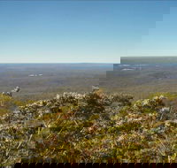Jerrawangala National Park - Northern Rivers Accommodation