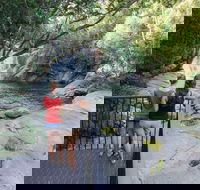 Josephine Falls walking track Wooroonooran National Park - Northern Rivers Accommodation