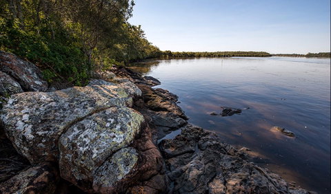 Karuah River National Park And Nature Reserve - Northern Rivers Accommodation 2