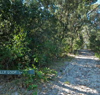 Lillypilly loop trail