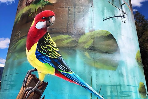 Lockhart Water Tower Mural - Northern Rivers Accommodation 1