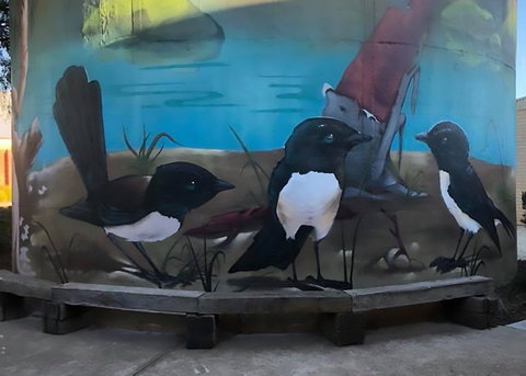 Lockhart Water Tower Mural - Northern Rivers Accommodation 2