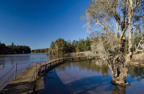 Longneck Lagoon Walking Track - Northern Rivers Accommodation 0