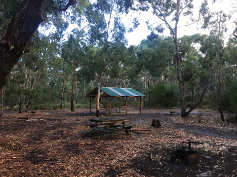 Long Lead Picnic Area And Campground - Northern Rivers Accommodation 0