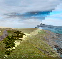 Look At Me Now Headland Walk - Northern Rivers Accommodation