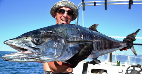 Mackerel Islands - Northern Rivers Accommodation 2