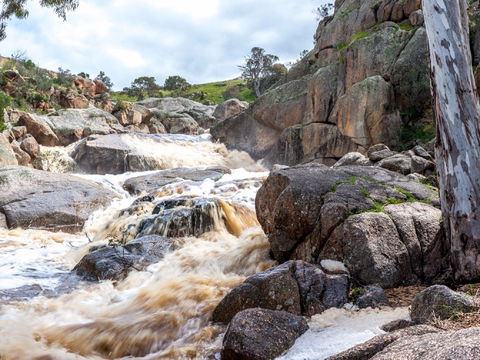 Mannum Waterfalls - Northern Rivers Accommodation 0