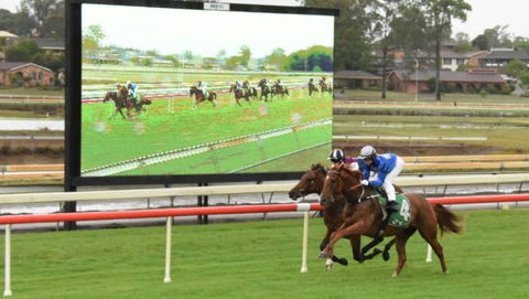 Manning Valley Race Club - Northern Rivers Accommodation 0