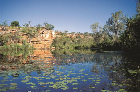 Manning Gorge - Northern Rivers Accommodation 0