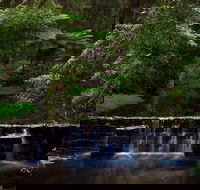 Millards Creek Walk and Cycleway - Northern Rivers Accommodation