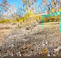 Mt Glenrowan Lookout Walk - Northern Rivers Accommodation