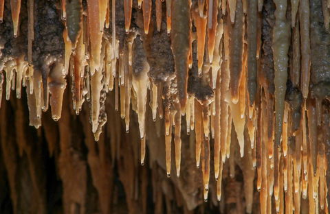 Mulwaree Cave - Northern Rivers Accommodation 0