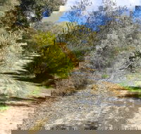 Naracoorte North Nature Park - Northern Rivers Accommodation