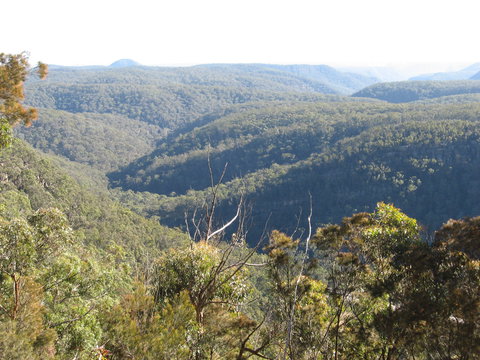Nattai Gorge Lookout - Northern Rivers Accommodation 1