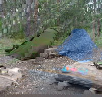 Northbrook Mountain Bush Camp - Northern Rivers Accommodation